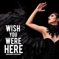 Tempus Quartet — Wish You Were Here Ft Isabelle Govea — обложка
